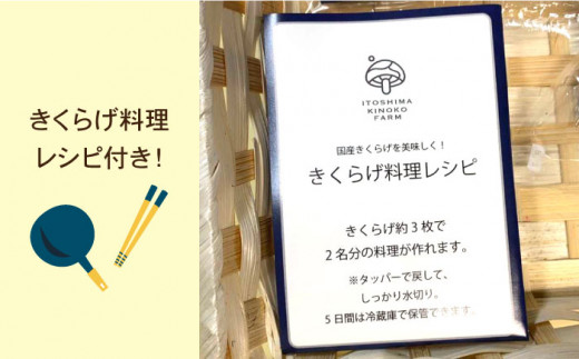 国産 肉厚 乾燥 きくらげ ( 15g × 4セット )《糸島》【きのこファーム】[AFC003]