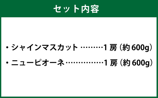 岡山県産 シャインマスカット「晴王」とニューピオーネ 3Lサイズ 計約1.2kg 【2024年8月下旬～9月下旬迄発送予定】