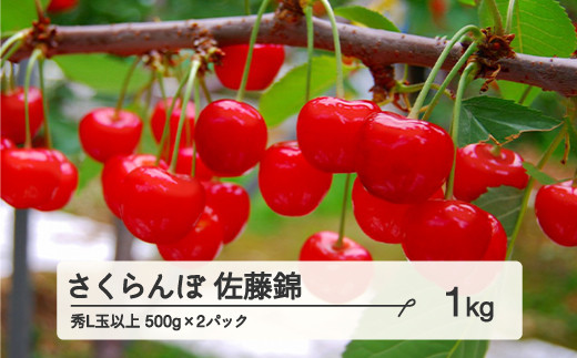 《先行予約》 山形県産 さくらんぼ 佐藤錦 バラパック詰 秀 Ｌ玉以上  1kg (500g×2) 2024年6月中旬から順次発送 果物 フルーツ nf-snbpx500x2