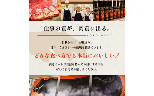 飛騨牛 ロースステーキ用 200g×2枚【岐阜県 可児市 肉 お肉 2人前 ロースステーキ 牛肉 黒毛和牛 サーロインステーキ 高級肉 養老ミート お取り寄せ グルメ 】