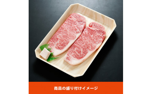 飛騨牛 ロースステーキ用 200g×2枚【岐阜県 可児市 肉 お肉 2人前 ロースステーキ 牛肉 黒毛和牛 サーロインステーキ 高級肉 養老ミート お取り寄せ グルメ 】