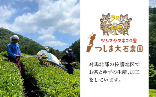 対馬紅茶 Cセット《対馬市》【つしま大石農園】長崎 対馬 ティー お茶 飲料 飲み物 [WBE014]