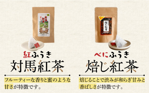 対馬紅茶 Cセット《対馬市》【つしま大石農園】長崎 対馬 ティー お茶 飲料 飲み物 [WBE014]