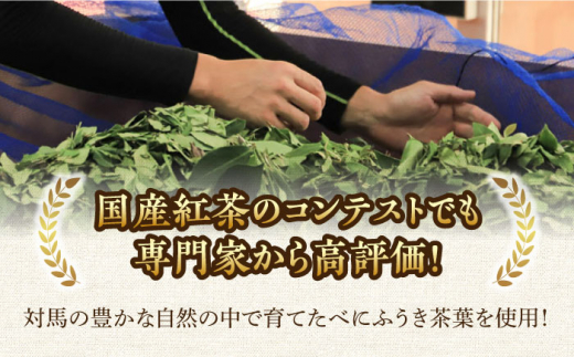 対馬紅茶 Cセット《対馬市》【つしま大石農園】長崎 対馬 ティー お茶 飲料 飲み物 [WBE014]