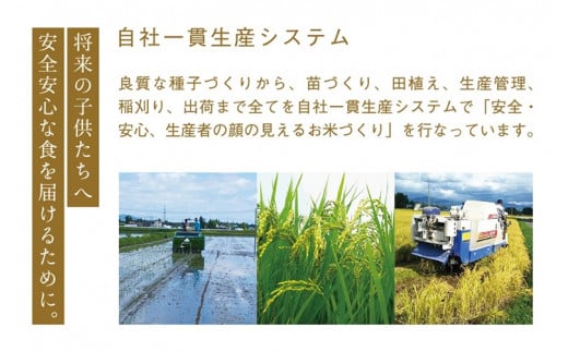 【令和6年産】ひとめぼれ 5kg 【2ヶ月定期】【特別栽培米】 岩手県 紫波町産 (AC024)