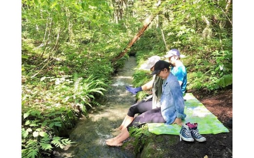 自然の小川で水療法