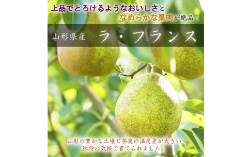 ＜先行受付＞令和7年8月発送開始　中山町　至高のフルーツ！ 中山町秀逸フルーツ定期便　全3回