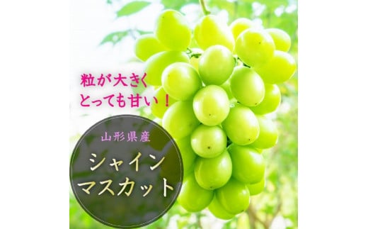 ＜先行受付＞令和7年8月発送開始　中山町　至高のフルーツ！ 中山町秀逸フルーツ定期便　全3回