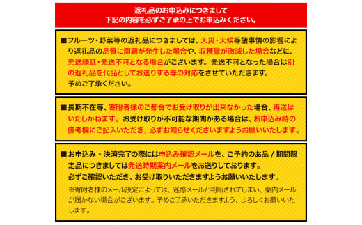 222.【先行予約】 岡山県産 つる付きニューピオーネ 3房 580g以上 露地栽培 葡萄 果物 厳選出荷 スイーツ フルーツ デザート 岡山県矢掛町《9月上旬-10月末頃に出荷予定(土日祝除く)》 種なしぶどう 【配送不可地域あり】