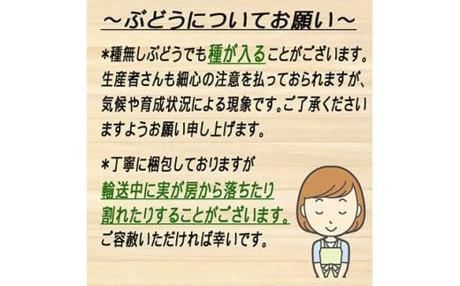 ぶどう 2025年 先行予約 岡山 名産 晴王 シャイン マスカット たっぷり2kg！9月上旬以降順次発送 ギフトにも ブドウ 葡萄 岡山県産 国産 フルーツ 果物