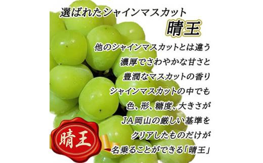 ぶどう 2025年 先行予約 岡山 名産 晴王 シャイン マスカット たっぷり2kg！9月上旬以降順次発送 ギフトにも ブドウ 葡萄 岡山県産 国産 フルーツ 果物