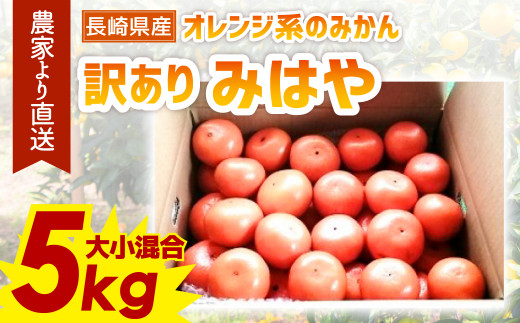 訳あり 長崎県産 みはや 約5kg 2022年12月下旬より順次発送