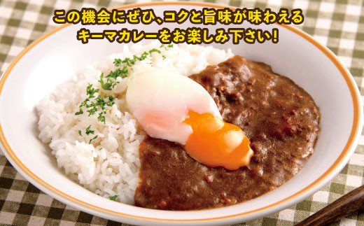 1169 鳥取地鶏使用キーマカレー 5個セット