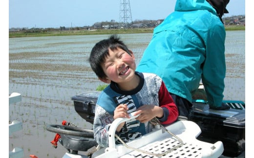 米 定期便 コシヒカリ 「弘宝米」 玄米 30kg ×3回 総計 90kg [中西農場 石川県 宝達志水町 38600681] お米 こしひかり 美味しい 農家 直送 3ヶ月 90キロ 30キロ 石川 能登