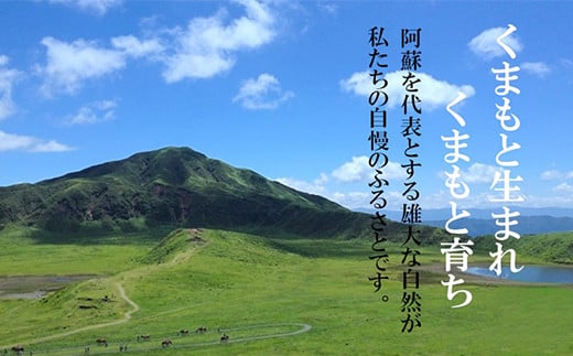 熊本県産 GI認証取得 くまもとあか牛 焼き肉用切り落とし 合計600g