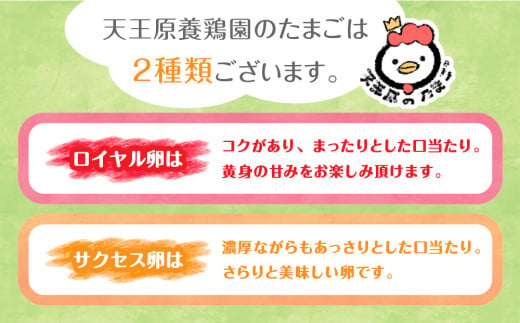 【定期便】3回定期 【天王原のたまご】 ロイヤル卵50個入り【定期便 3回定期便 セット たまご 卵 玉子 タマゴ 濃厚  ハリ 弾力 ボリューム 甘味 旨味 卵黄 風味 生 コク 甘味 卵かけご飯 卵焼き 目玉焼き オムレツ 茶碗蒸し お菓子作り パンの材料】