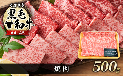 牛肉 A4～A5 くまもと 黒毛和牛 焼肉 500g 焼き肉 肉 お肉 ※配送不可：離島