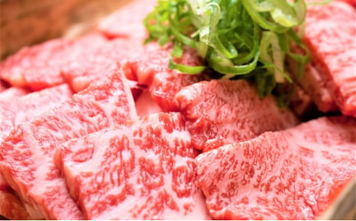 牛肉 A4～A5 くまもと 黒毛和牛 焼肉 500g 焼き肉 肉 お肉 ※配送不可：離島