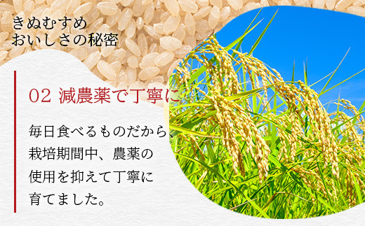 「令和6年産 新米 先行受付」 那賀町相生産 きぬむすめ 玄米 5kg 1袋 「2024年10月上旬より発送」 【徳島 那賀 国産 徳島県産 お米 こめ おこめ 米 ご飯 ごはん 玄米 5キロ 和食 おにぎり お弁当 おいしい 玄米 食べて応援 お取り寄せ 産地直送】YS-36