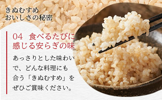 「令和6年産 新米 先行受付」 那賀町相生産 きぬむすめ 玄米 5kg 1袋 「2024年10月上旬より発送」 【徳島 那賀 国産 徳島県産 お米 こめ おこめ 米 ご飯 ごはん 玄米 5キロ 和食 おにぎり お弁当 おいしい 玄米 食べて応援 お取り寄せ 産地直送】YS-36