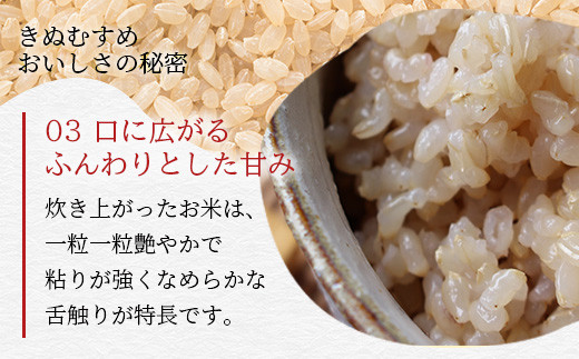 「令和6年産 新米 先行受付」 那賀町相生産 きぬむすめ 玄米 5kg 1袋 「2024年10月上旬より発送」 【徳島 那賀 国産 徳島県産 お米 こめ おこめ 米 ご飯 ごはん 玄米 5キロ 和食 おにぎり お弁当 おいしい 玄米 食べて応援 お取り寄せ 産地直送】YS-36