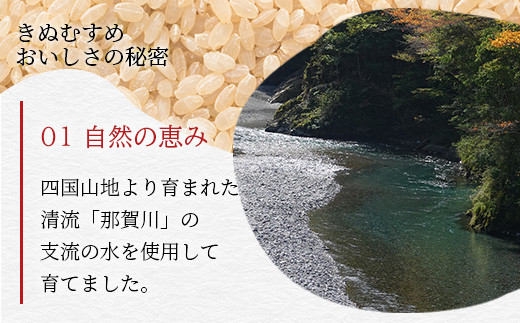 「令和6年産 新米 先行受付」 那賀町相生産 きぬむすめ 玄米 5kg 1袋 「2024年10月上旬より発送」 【徳島 那賀 国産 徳島県産 お米 こめ おこめ 米 ご飯 ごはん 玄米 5キロ 和食 おにぎり お弁当 おいしい 玄米 食べて応援 お取り寄せ 産地直送】YS-36