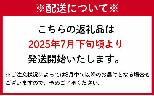 【2025年配送】先行受付  徳之島 天城町産 宝果樹園 完熟マンゴー ご家庭用 2kg マンゴー AT-22-N