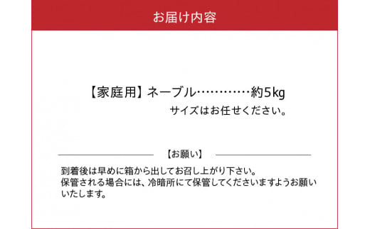 54-13　【先行予約】福島オレンジ農園 【家庭用】減農薬栽培! おいしい樹成甘熟!!ネーブル　約5kg