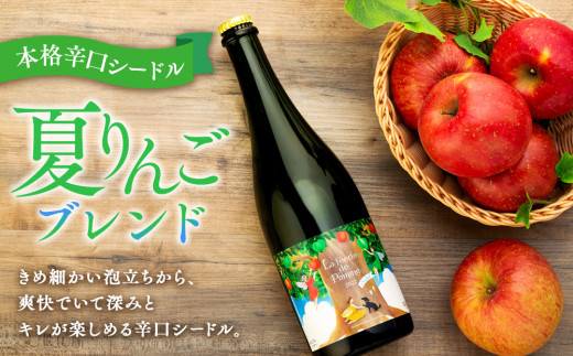 シードル 2021年産夏 2021年産冬 2022年産夏 3本 詰め合わせ セット フルボトル 飲み比べ アップルシードル 辛口 りんご 夏リンゴ フルーツ 果物 お酒 酒 果実酒 アルコール 家飲み ギフト プレゼント 贈答 贈り物 お祝い 長野 長野県 箕輪町　[№5675-1419]