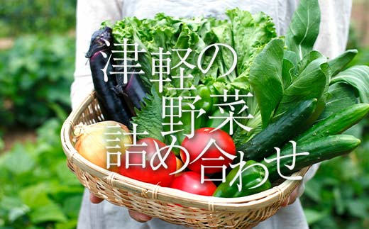 津軽の季節の野菜詰め合わせセット 【中泊町特産物直売所ピュア】旬の野菜 旬野菜 旬 新鮮 食品 グルメ 詰め合わせ 冷蔵 ファーマーズマーケット  野菜 美味しい 甘い サラダ 中泊町 青森 F6N-022