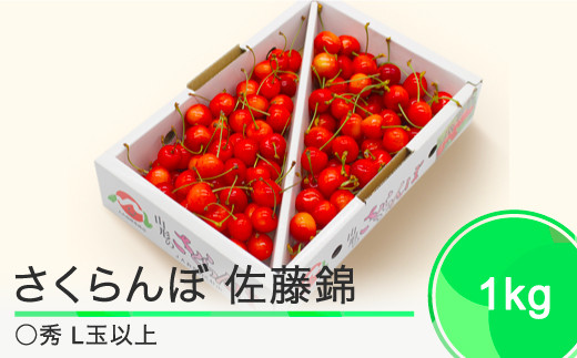  さくらんぼ 佐藤錦 1kgバラ ◯秀 L玉以上 2024年産 令和六年 果物 フルーツ 山形県産 ja-snbax1