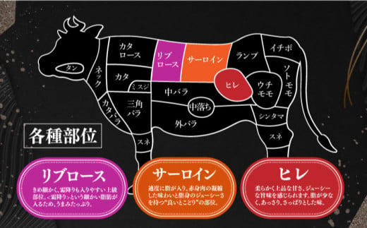 国産  冷凍 牛肉 ヒレ ひれ ヒレ肉 ヒレステーキ 和牛 ひれすてーき 牛 真空パック ひれ 希少部位 ステーキ すてーき