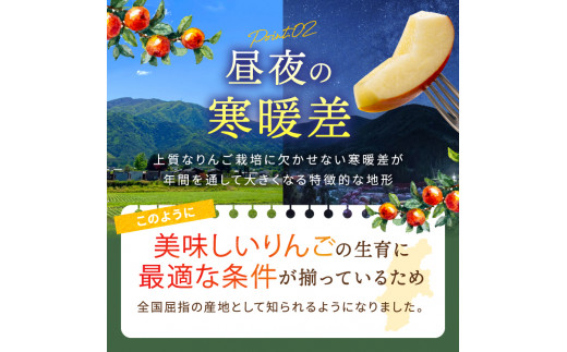 *【2024年 令和6年度発送 先行予約】東印平林農園 訳あり 安曇野の ぐんま名月 約9kg ｜ リンゴ りんご 林檎 果物 フルーツ 果実 果汁 ぐんま名月 ぐんまめいげつ 家庭用 わけあり 訳アリ 長野県 松川村 信州