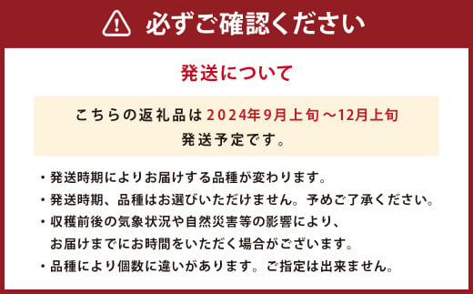 注意事項について