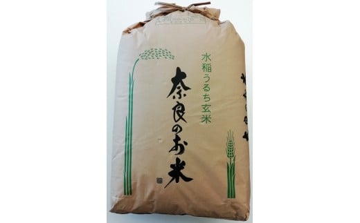 ＜令和6年10月中旬以降発送＞ひのひかり(奈良県天理産)玄米30㎏＜令和6年産＞(一等米)【1085320】