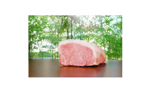 名産飛騨牛ロース(A5等級)薄切り肉500g【1352061】