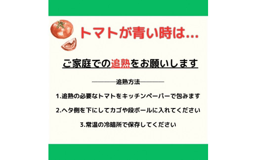 【旬な時期にお届け♪7月下旬より随時配送】内藤おじちゃんが育てる採れたて新鮮な童仙房高原トマト2kgセット◎エコファーマー認定者◎京都府南山城村産 [№5299-0083]