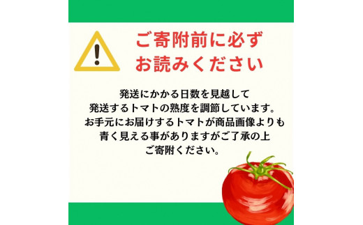 【旬な時期にお届け♪7月下旬より随時配送】内藤おじちゃんが育てる採れたて新鮮な童仙房高原トマト2kgセット◎エコファーマー認定者◎京都府南山城村産 [№5299-0083]