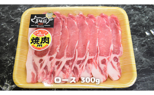 美明豚 焼肉セット 4種1350g【茨城県共通返礼品 行方市】 豚肉 国産 銘柄 お手頃グルメ 茨城県 料理 イベント バーベキュー [CV004sa]