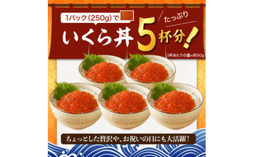 【全3回：2ヶ月に1回お届け 】鱒 イクラ 醤油漬 250g×2箱：隔月定期便【er002-031-a】