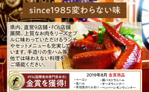 うえすたん ランチもディナーも使える お食事券 10000円分 （1000円×10枚）お食事券 納税 支援品 返礼品 支援 返礼 お礼の品 チケット 券 お食事券 食事券 ディナー 食事 レストランチケット 夕食 美味しい おいしい