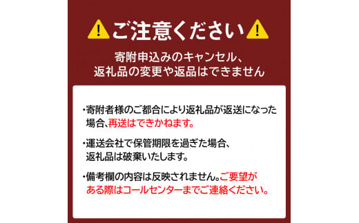 まいこのブラウニー(6個入り)×２箱セット 