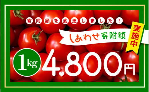 【ふるさと納税】【2025年4月より順次発送】じゅわっと極甘のフルーツミディトマト 約1kg (バラ箱詰め) 幸せ寄附額 ハッピーキャンペーン 開催中【とまと トマト フルーツトマト ミディトマト ミニトマト トマトジュース 野菜 やさい 人気 新鮮 産地直送 甘い 高糖度 食べやすい リコピン ビタミン ダイエット 美容 美肌 】 [m37-a012_04]