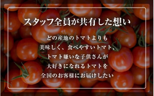 【ふるさと納税】【2025年4月より順次発送】じゅわっと極甘のフルーツミディトマト 約1kg (バラ箱詰め) 幸せ寄附額 ハッピーキャンペーン 開催中【とまと トマト フルーツトマト ミディトマト ミニトマト トマトジュース 野菜 やさい 人気 新鮮 産地直送 甘い 高糖度 食べやすい リコピン ビタミン ダイエット 美容 美肌 】 [m37-a012_04]