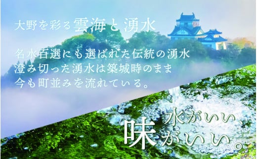 名水の里越前大野のこだわりの越前そばセット「老舗製麺所 石塚七左衛門商店のそば」