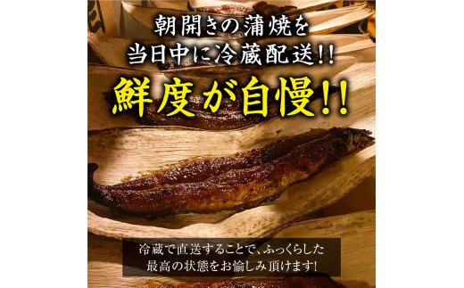 国産うなぎ蒲焼き (1匹)＋肝焼き｜名店 鰻 ウナギ うな丼 鰻丼 肝 希少部位 冷蔵 クール便 ひつまぶし 丑の日 簡単調理 [0848]