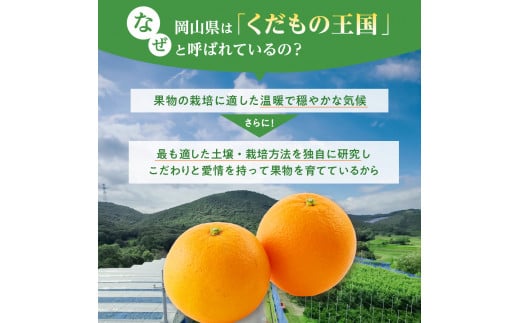 【2025年発送】びぜん　ネーブル　オレンジ　みかん