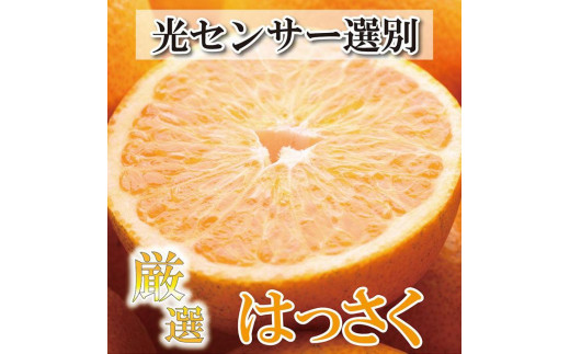 ＜4月より発送＞厳選 樹上完熟はっさく4kg+120g（傷み補償分）【八朔】【さつき・木成】