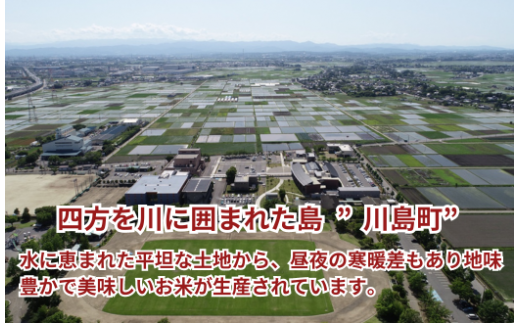 【令和6年産】 10kg 特別栽培米 コシヒカリ 白米 精米 川越藩のお蔵米（コシヒカリ100%精米品） 有機肥料 低農薬 2024年産 埼玉県 川島町