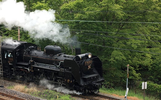 No.467 【2024年10月19日（土）開催】三峰口駅　SL転車台乗車・駅員体験 ／ 体験チケット 秩父鉄道 乗車体験 埼玉県